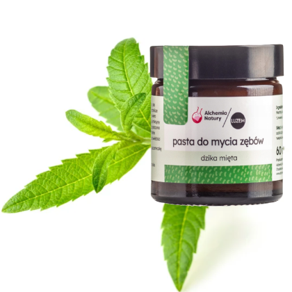 Pasta do zębów DZIKA MIĘTA 60ml